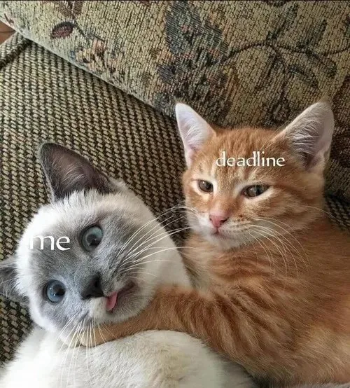 deadline meme