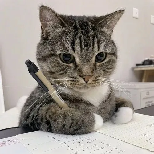 chạy deadline meme