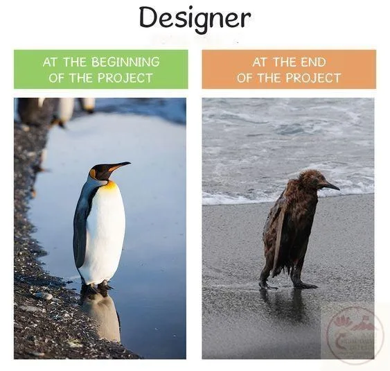 designer meme