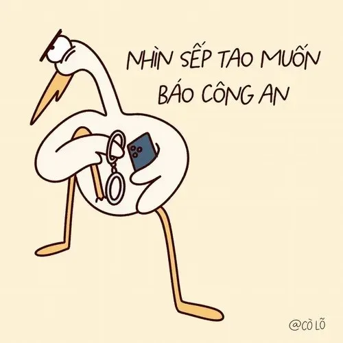 meme deadline dí