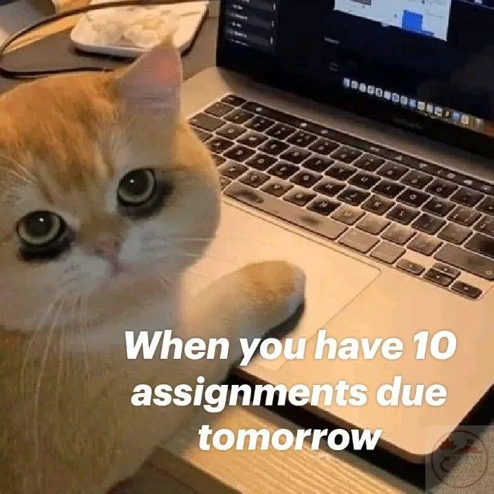 deadline meme