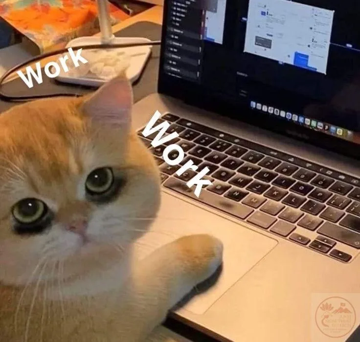 chạy deadline meme