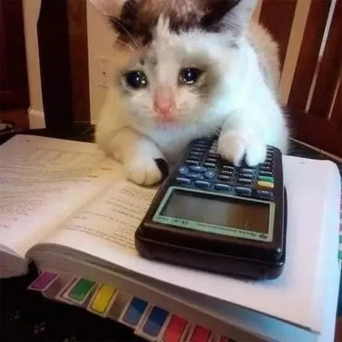 chạy deadline meme