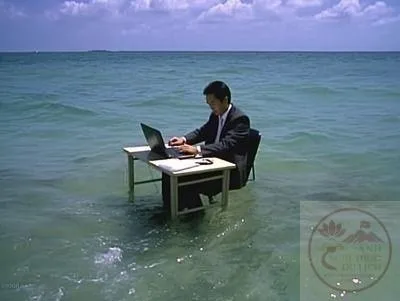 chạy deadline meme