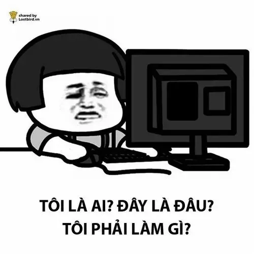 meme deadline dí