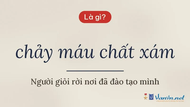 chảy máu chất xám là gì