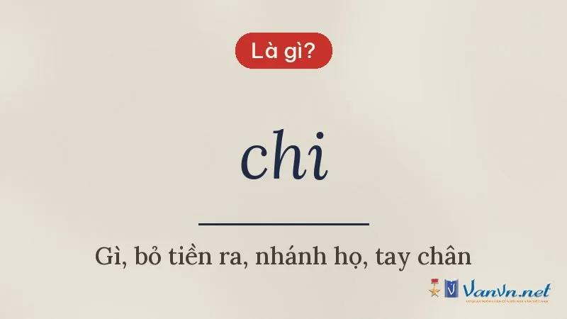 chi là gì
