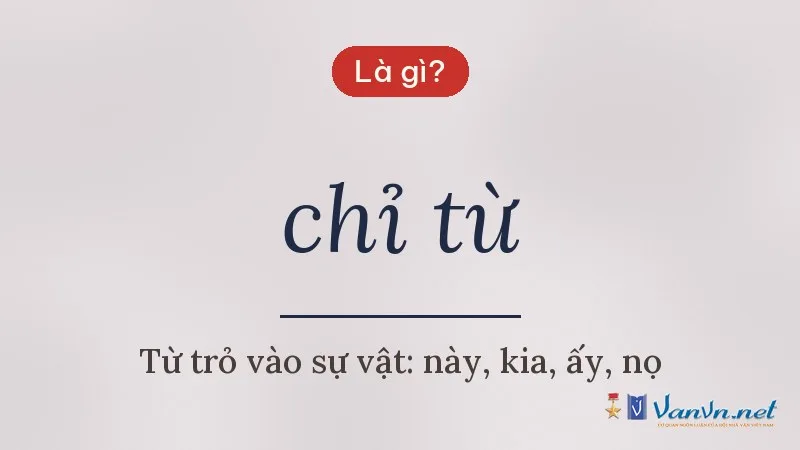 chỉ từ là gì