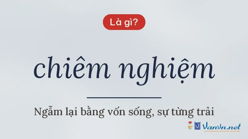 chiêm nghiệm là gì
