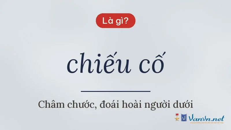 chiếu cố là gì