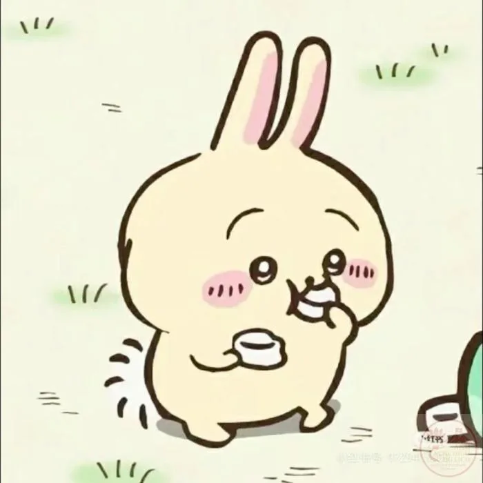 usagi chiikawa meme