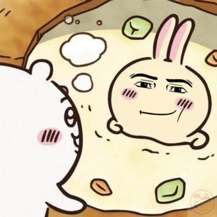 usagi chiikawa meme