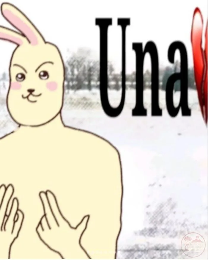 usagi chiikawa meme