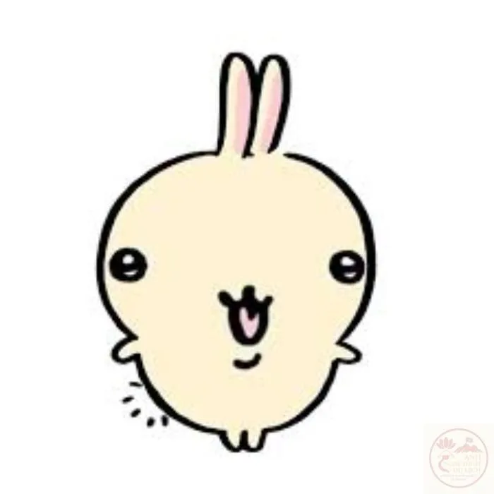 usagi chiikawa meme