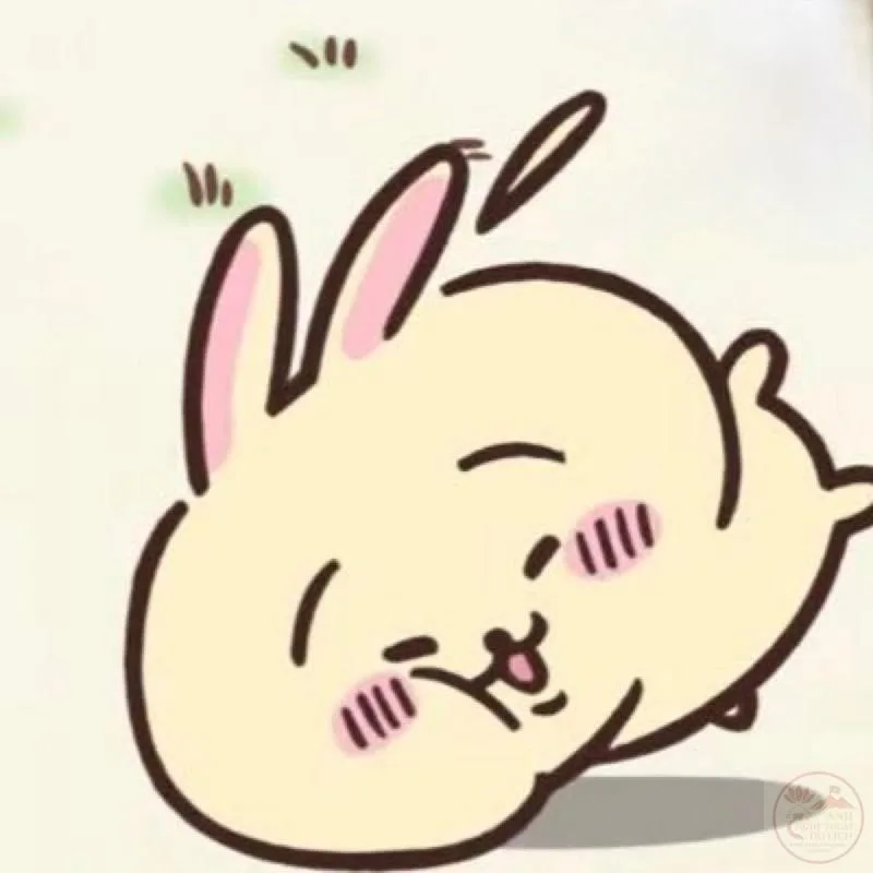 usagi chiikawa meme