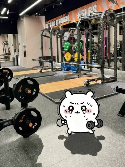 chiikawa meme