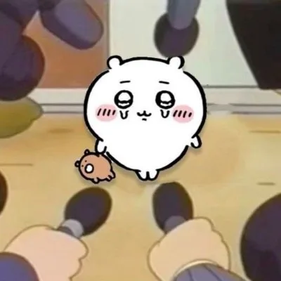chiikawa meme face