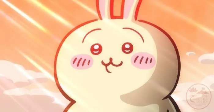 usagi chiikawa meme