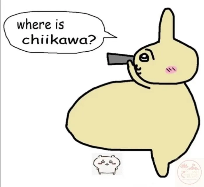 usagi chiikawa meme