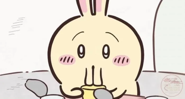 usagi chiikawa meme