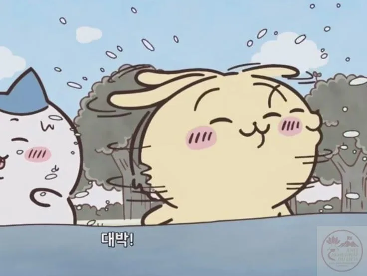 usagi chiikawa meme