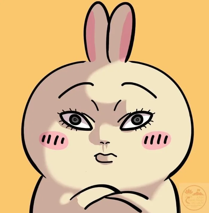 usagi chiikawa meme