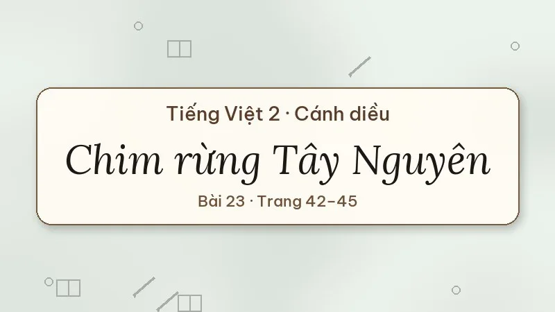 chim rừng tây nguyên lớp 2 cánh diều