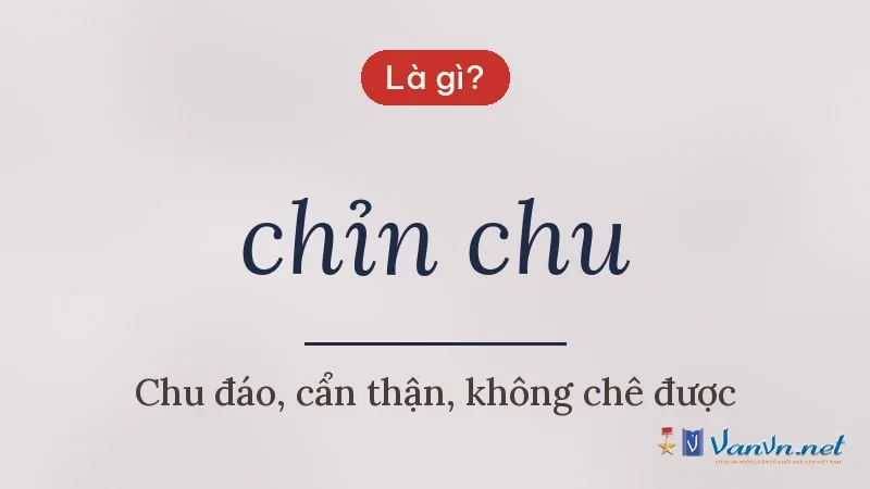 chỉn chu là gì