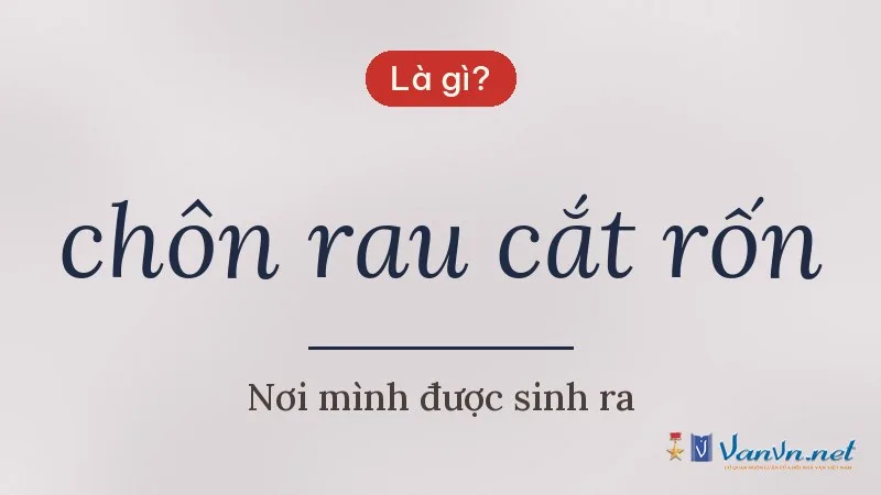 chôn rau cắt rốn là gì