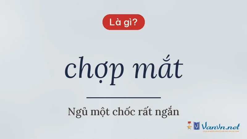 chợp mắt là gì