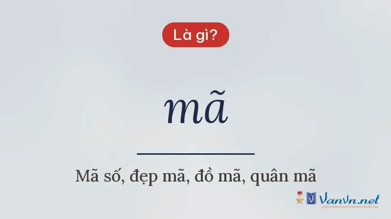 mã là gì