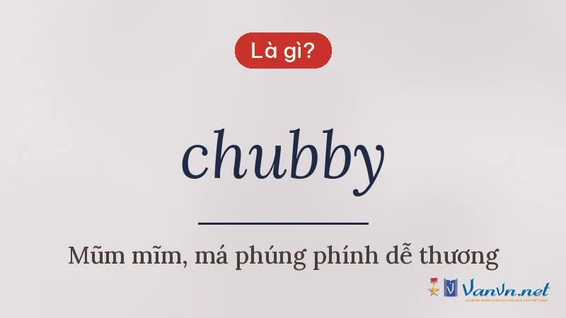 chubby là gì