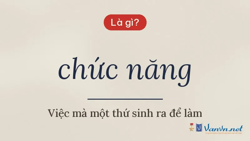 chức năng là gì