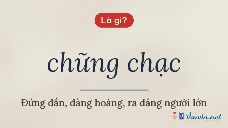 chững chạc là gì
