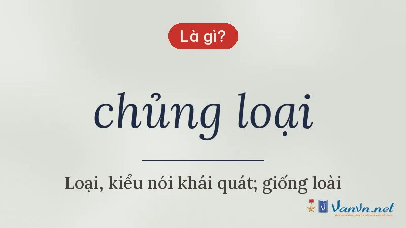 chủng loại là gì