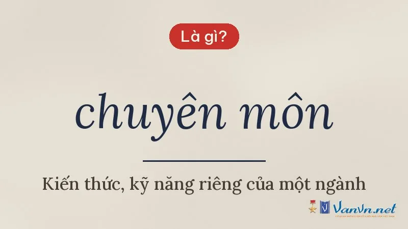chuyên môn là gì