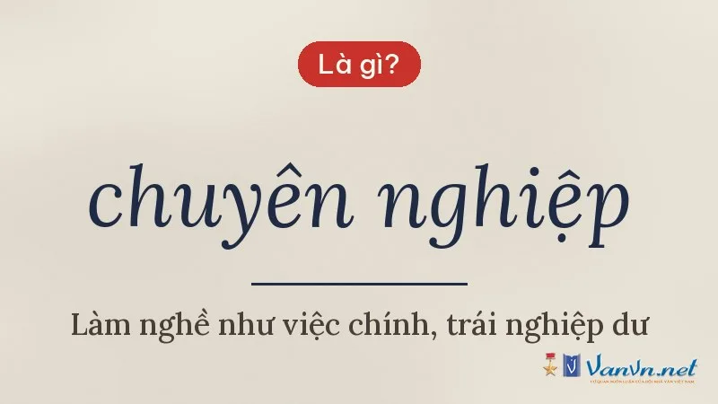 chuyên nghiệp là gì