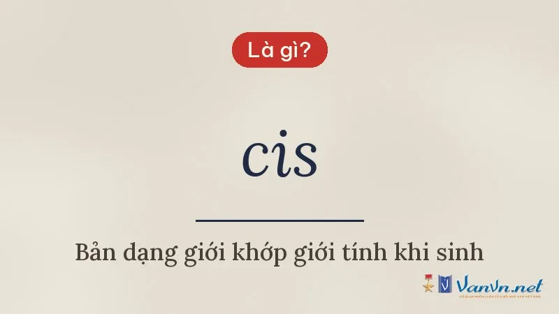 cis là gì