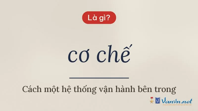 cơ chế là gì