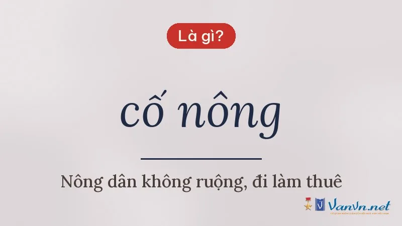 cố nông là gì