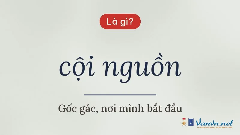 cội nguồn là gì