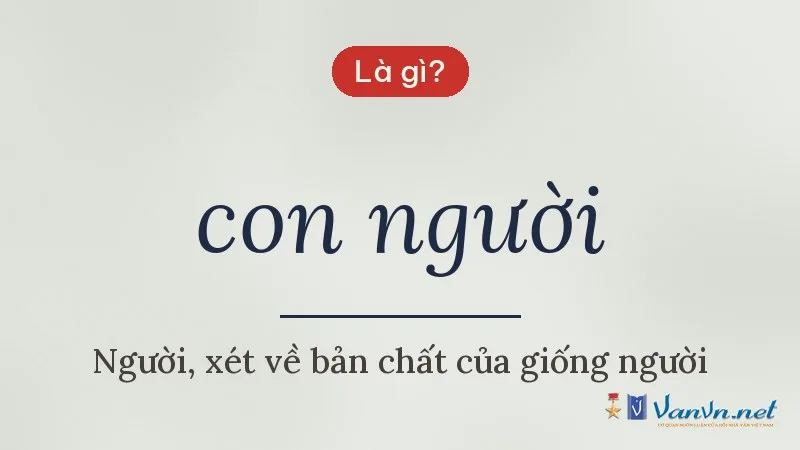 con người là gì