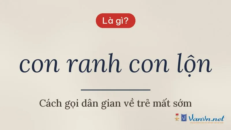 con ranh con lộn là gì