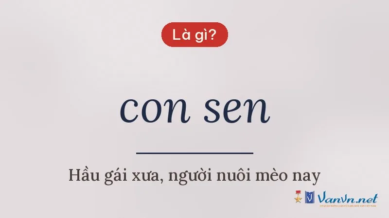 con sen là gì