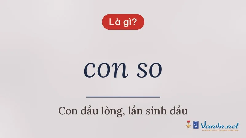 con so là gì