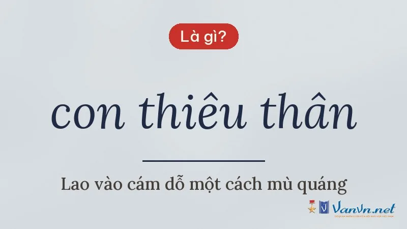 con thiêu thân là gì