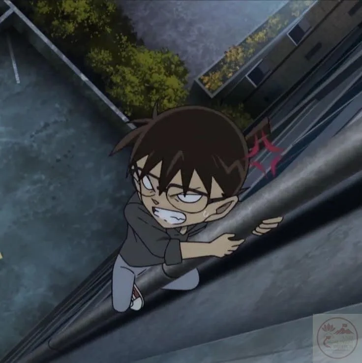ảnh conan vô tri
