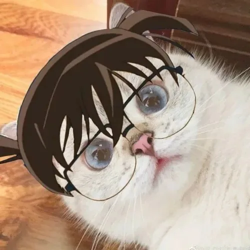 conan meme face