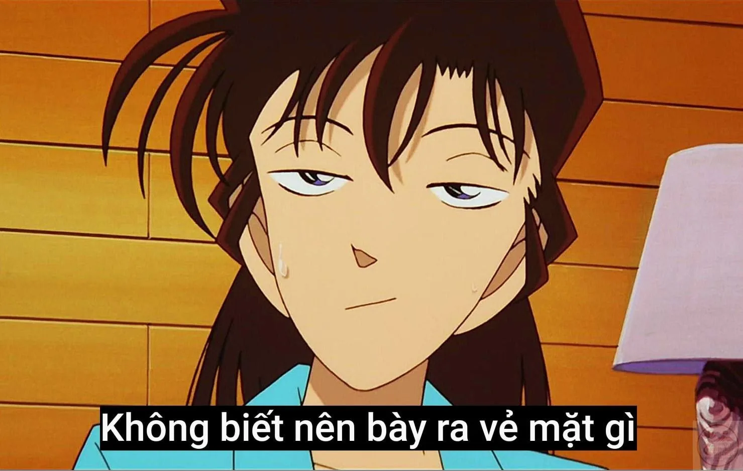 ảnh chế conan hài hước