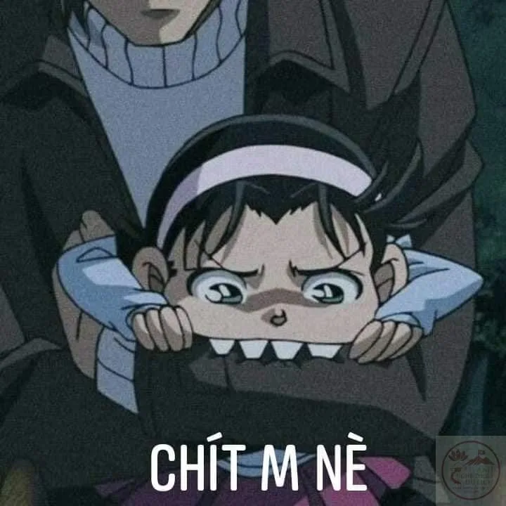 ảnh chế conan hài hước